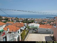 Portugal - Madere - Funchal - 046